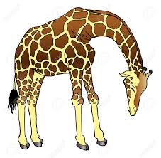 Image result for giraffes looking sad
